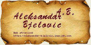 Aleksandar Bjelović vizit kartica